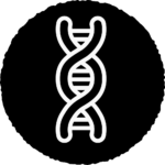 SunPork Icon - Genetics